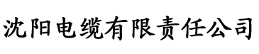 红桃av电影电缆厂logo